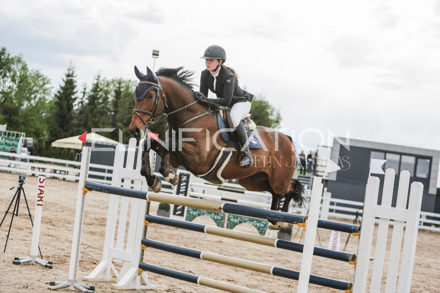 Gramina_Kevad_2026_hc130-135_081