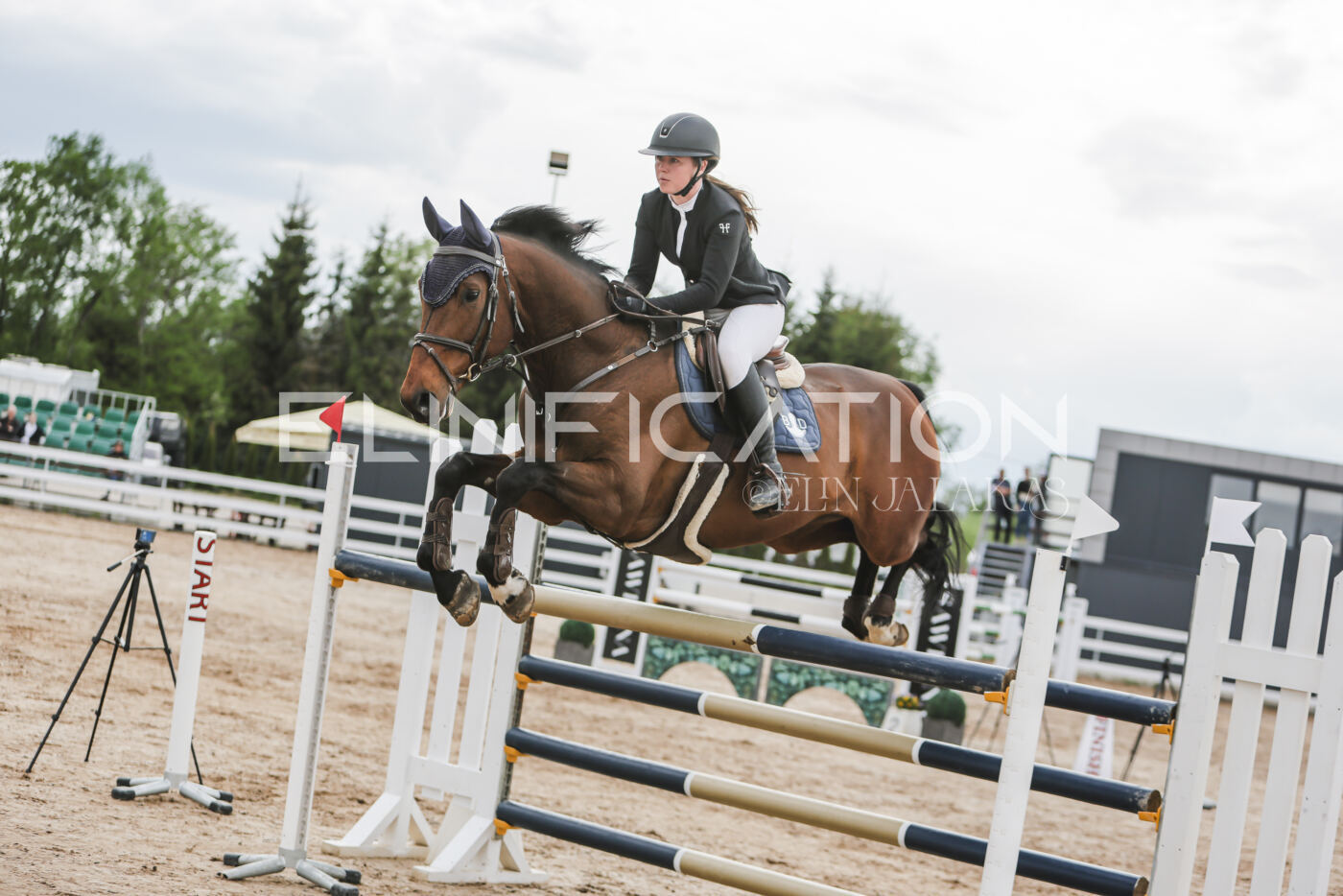 Gramina_Kevad_2026_hc130-135_082