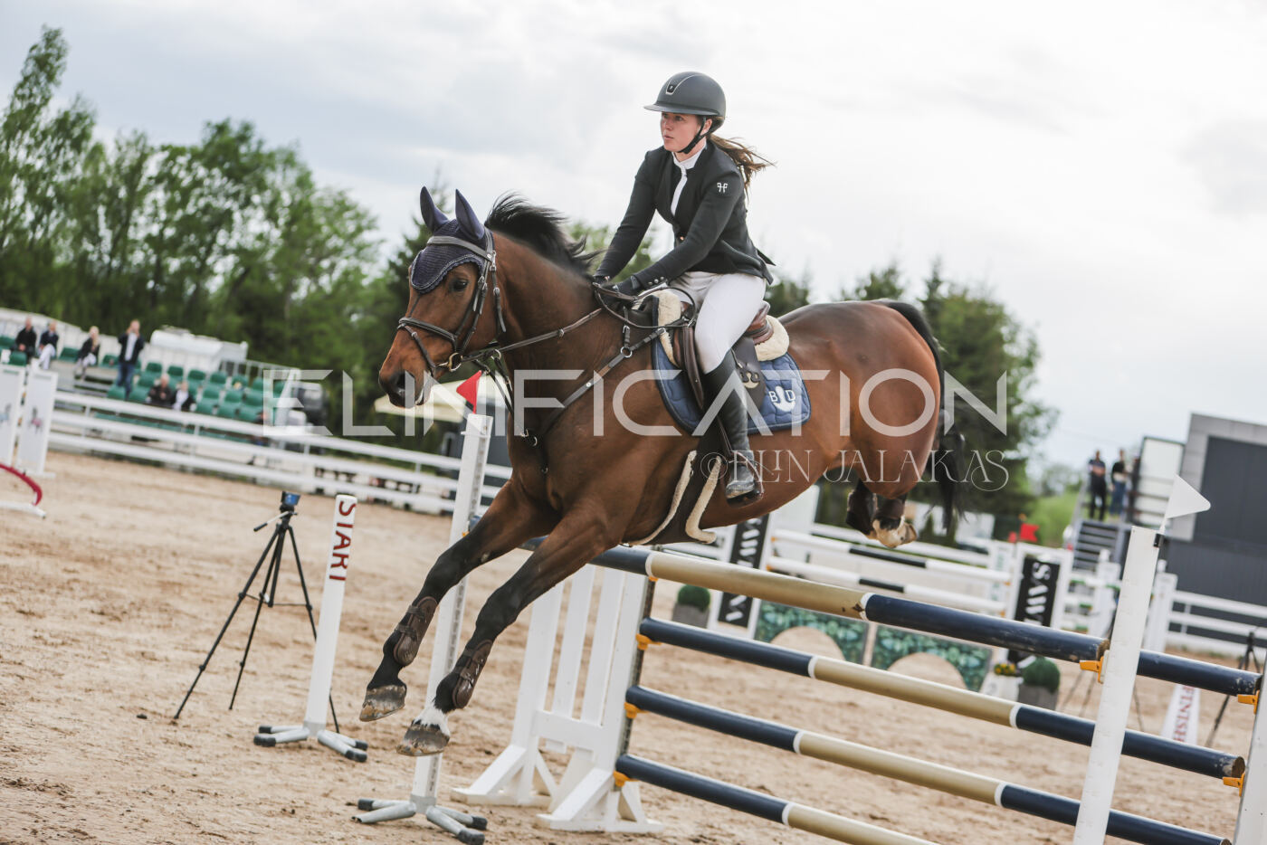 Gramina_Kevad_2026_hc130-135_084