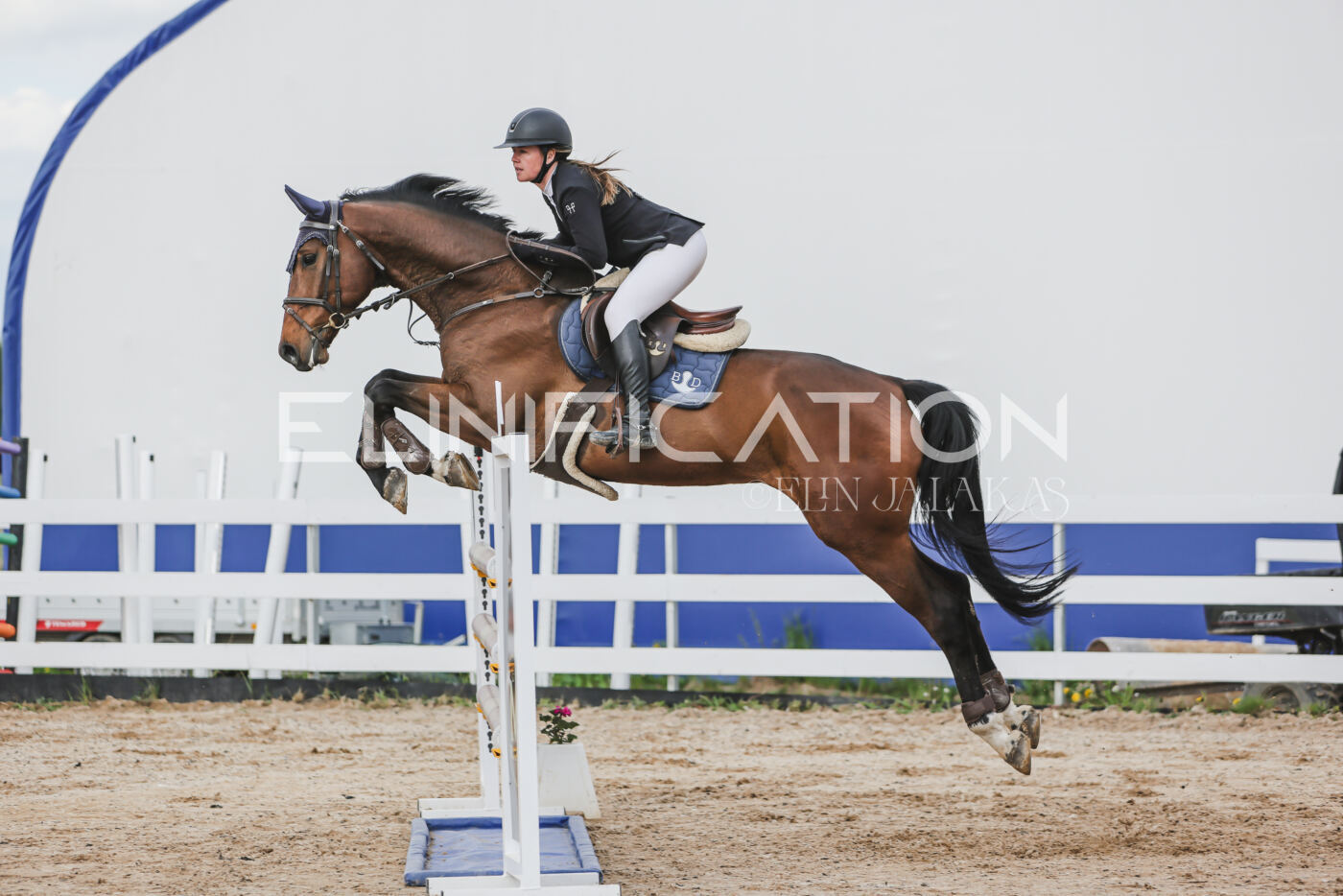 Gramina_Kevad_2026_hc130-135_088