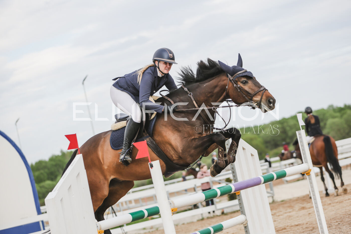 Gramina_Kevad_2026_hc130-135_092