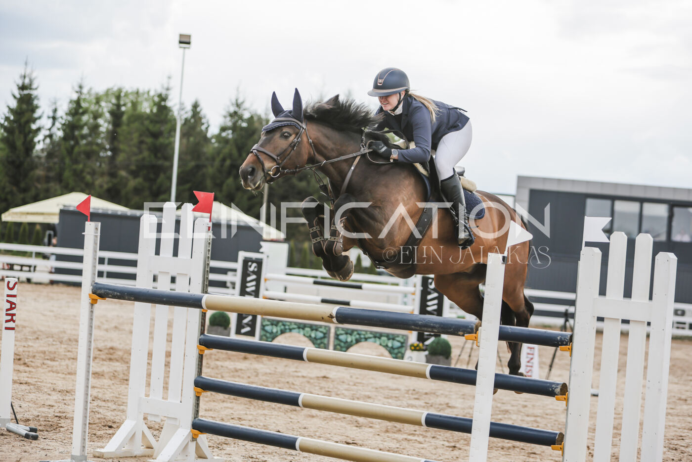 Gramina_Kevad_2026_hc130-135_097