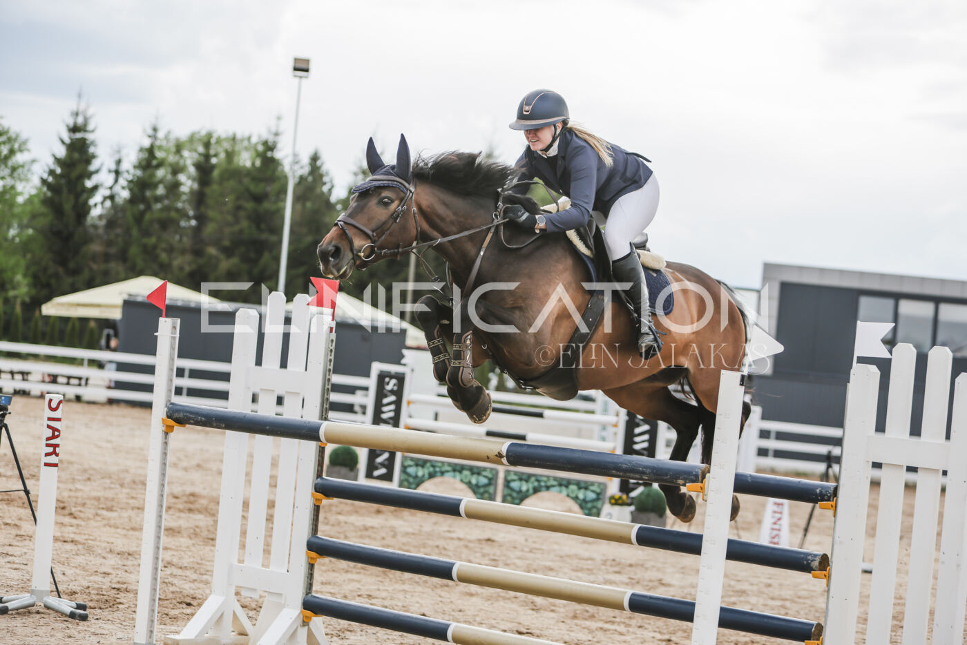 Gramina_Kevad_2026_hc130-135_098