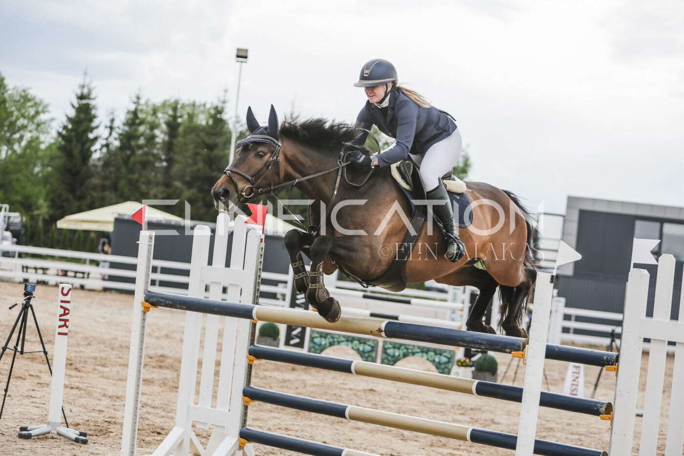 Gramina_Kevad_2026_hc130-135_099