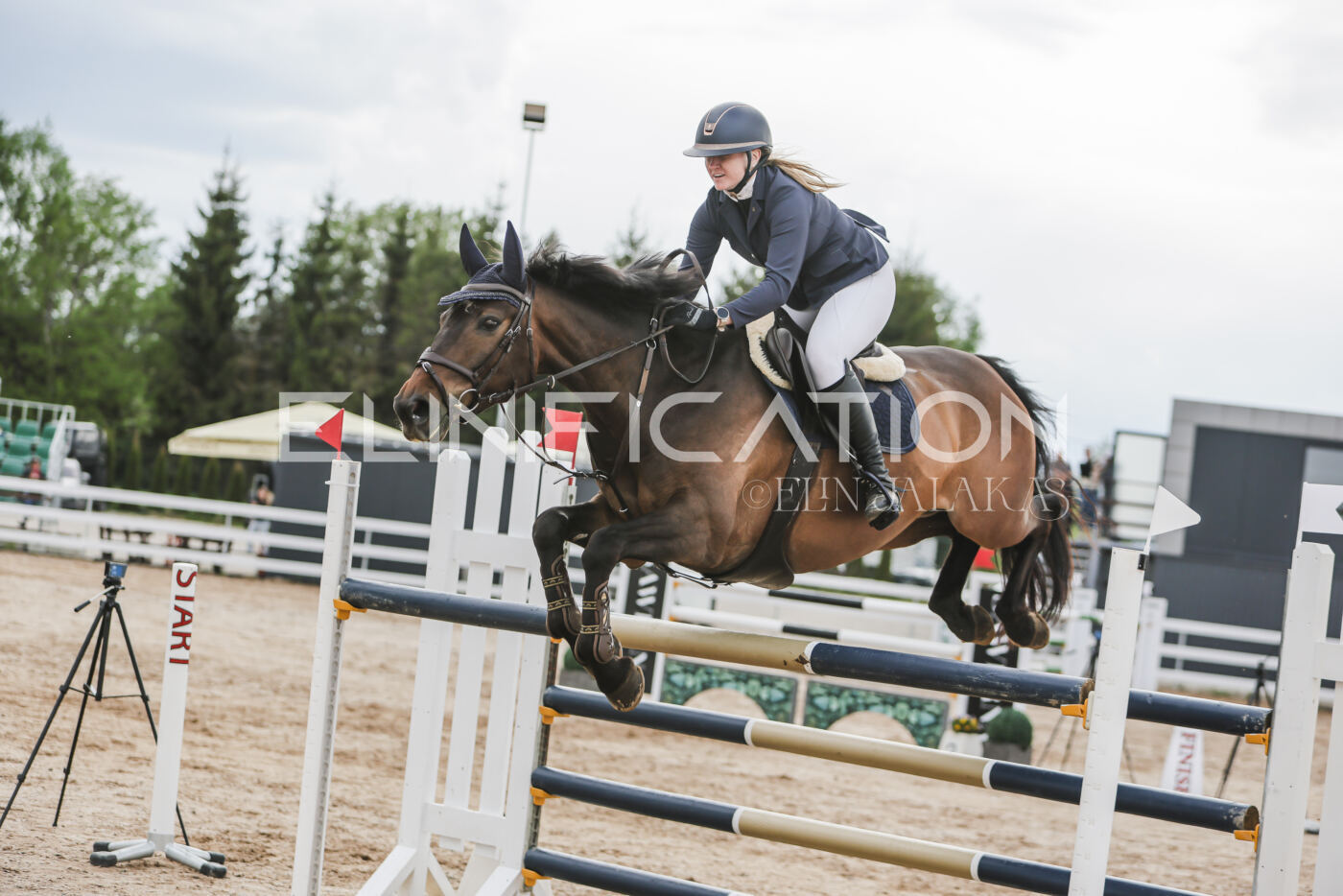 Gramina_Kevad_2026_hc130-135_100