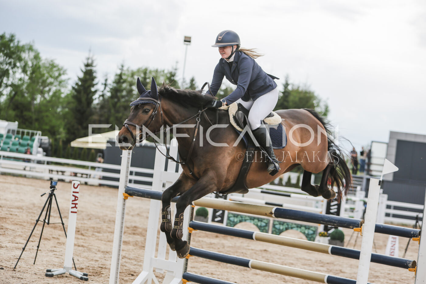 Gramina_Kevad_2026_hc130-135_101
