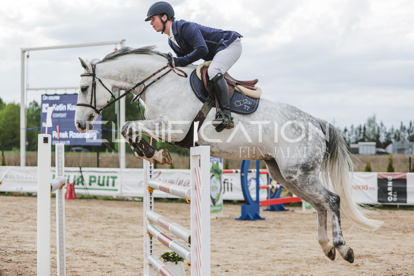 Gramina_Kevad_2026_hc130-135_115