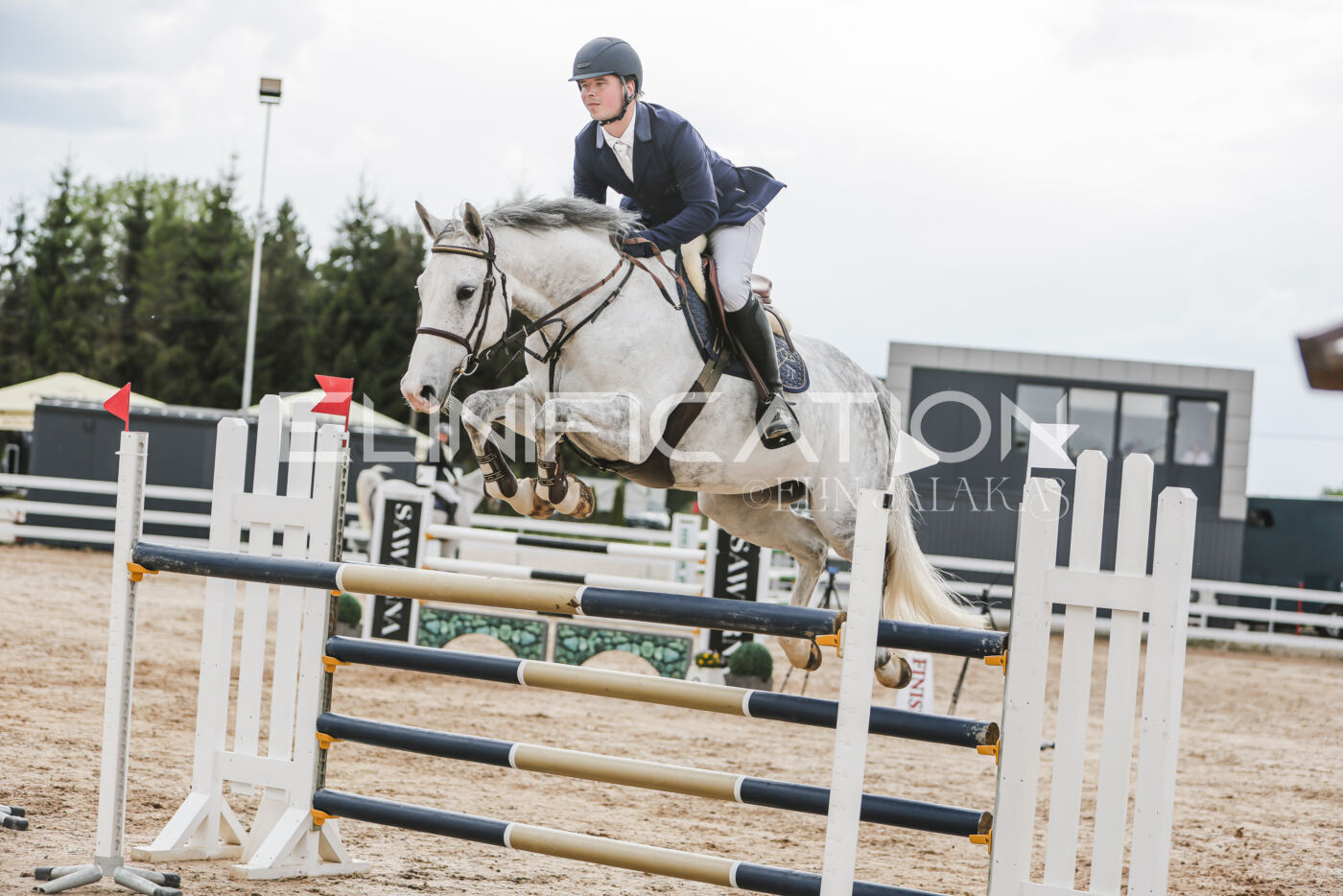 Gramina_Kevad_2026_hc130-135_121