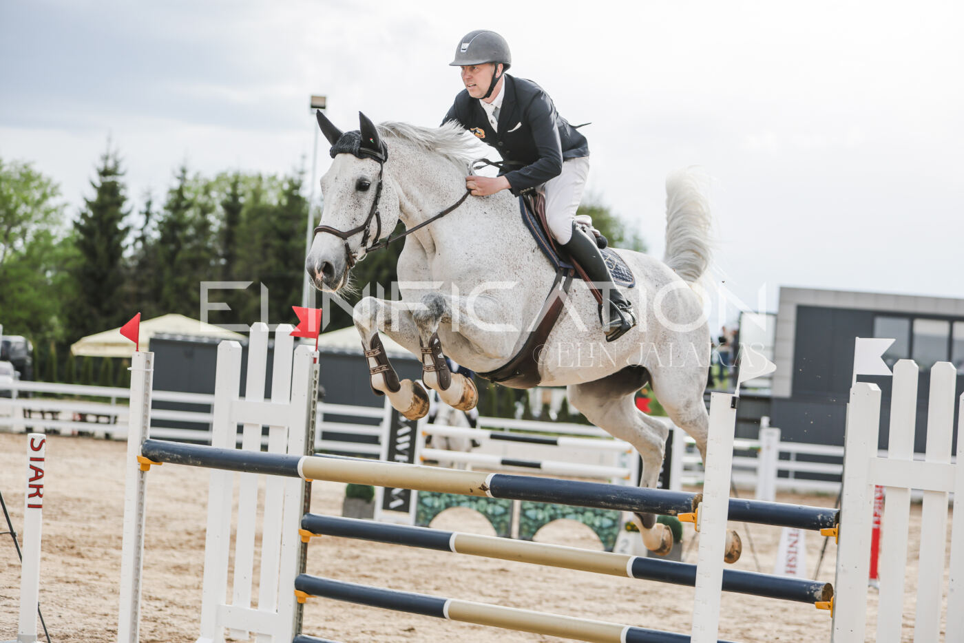 Gramina_Kevad_2026_hc130-135_148