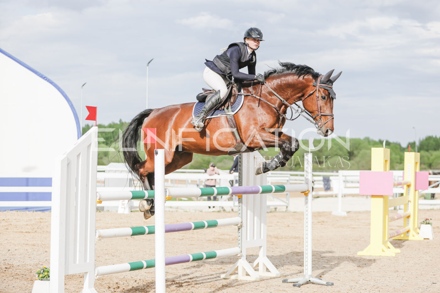 Gramina_Kevad_2026_hc130-135_162