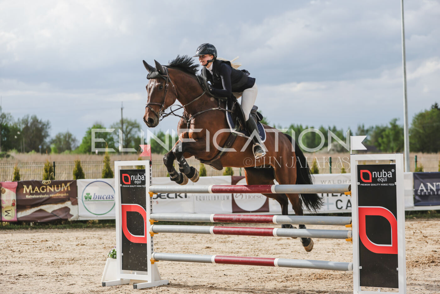 Gramina_Kevad_2026_hc130-135_169