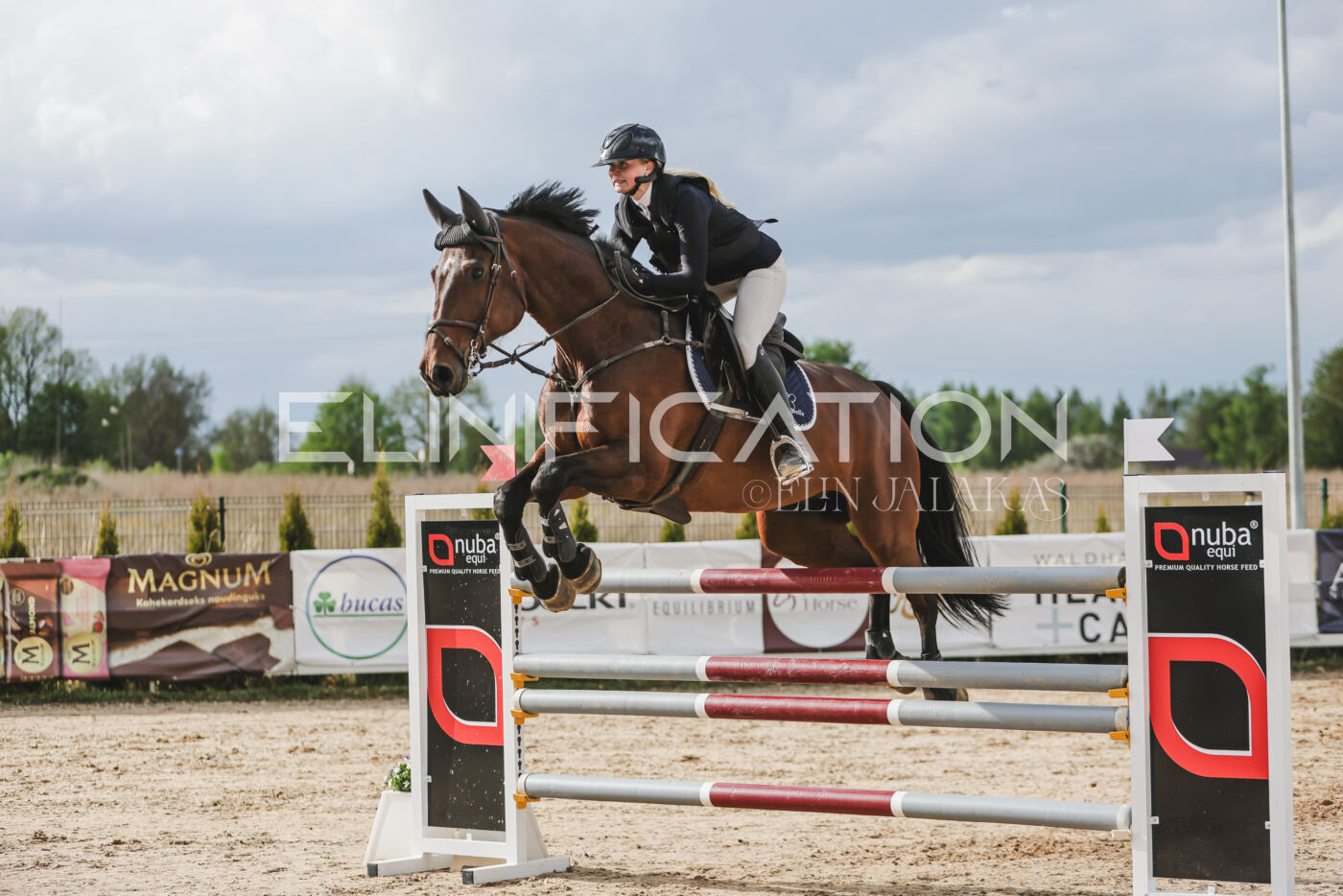 Gramina_Kevad_2026_hc130-135_170