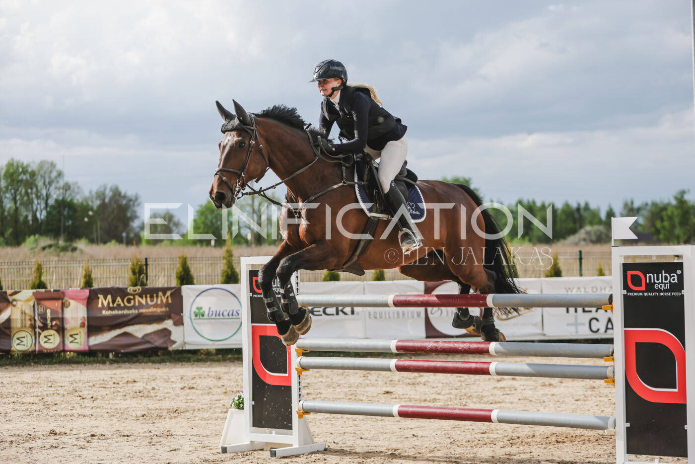 Gramina_Kevad_2026_hc130-135_171