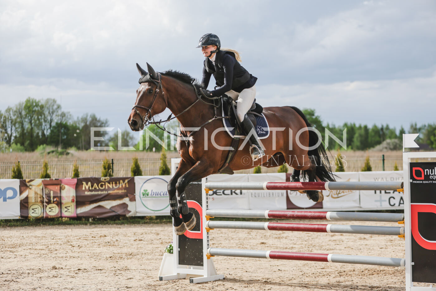Gramina_Kevad_2026_hc130-135_172