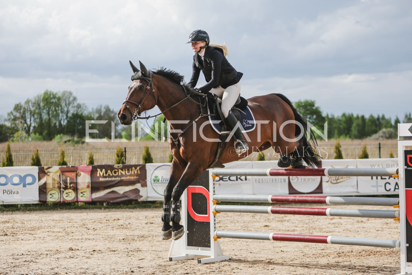 Gramina_Kevad_2026_hc130-135_173