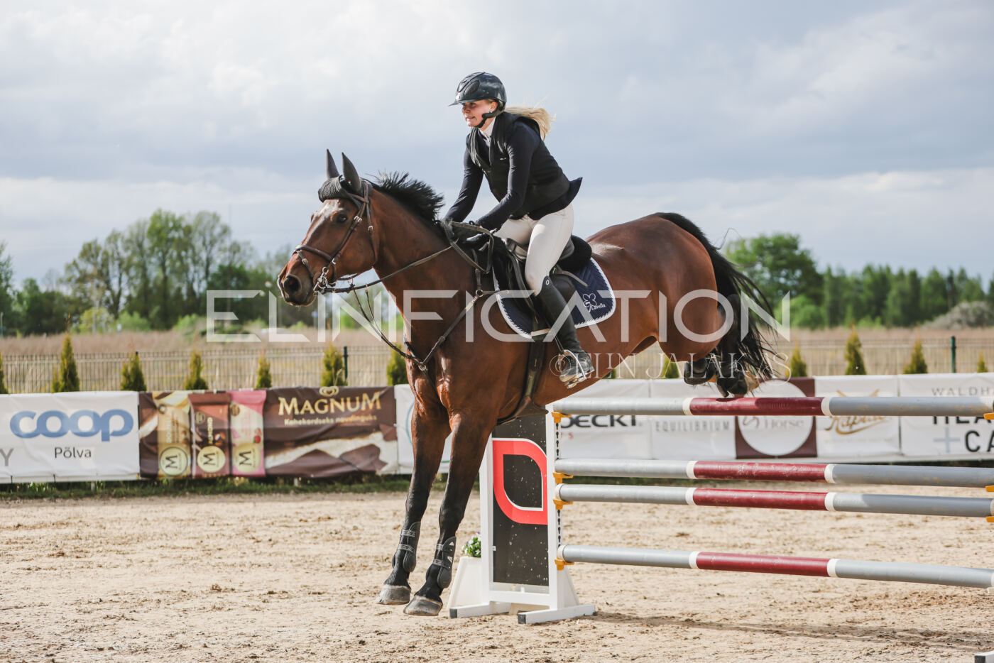 Gramina_Kevad_2026_hc130-135_174