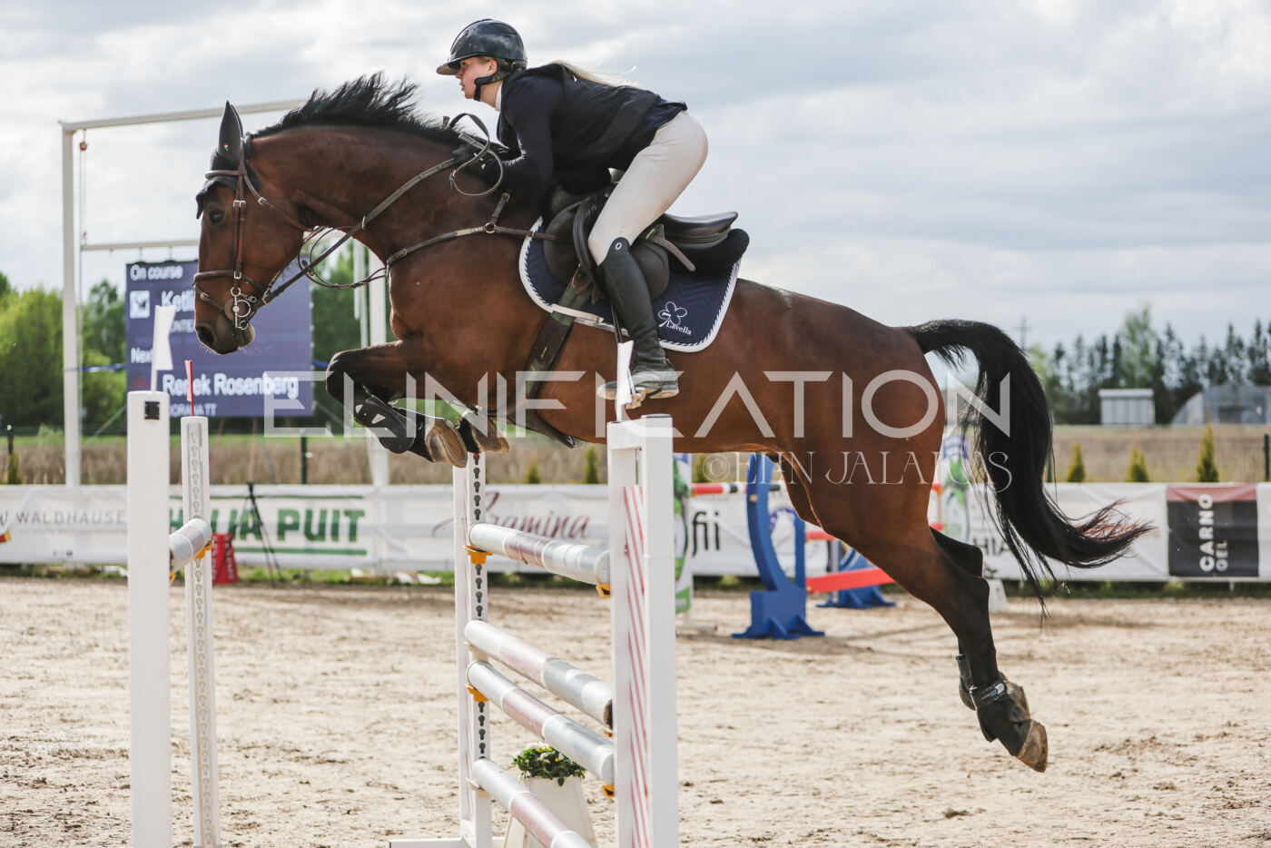 Gramina_Kevad_2026_hc130-135_175
