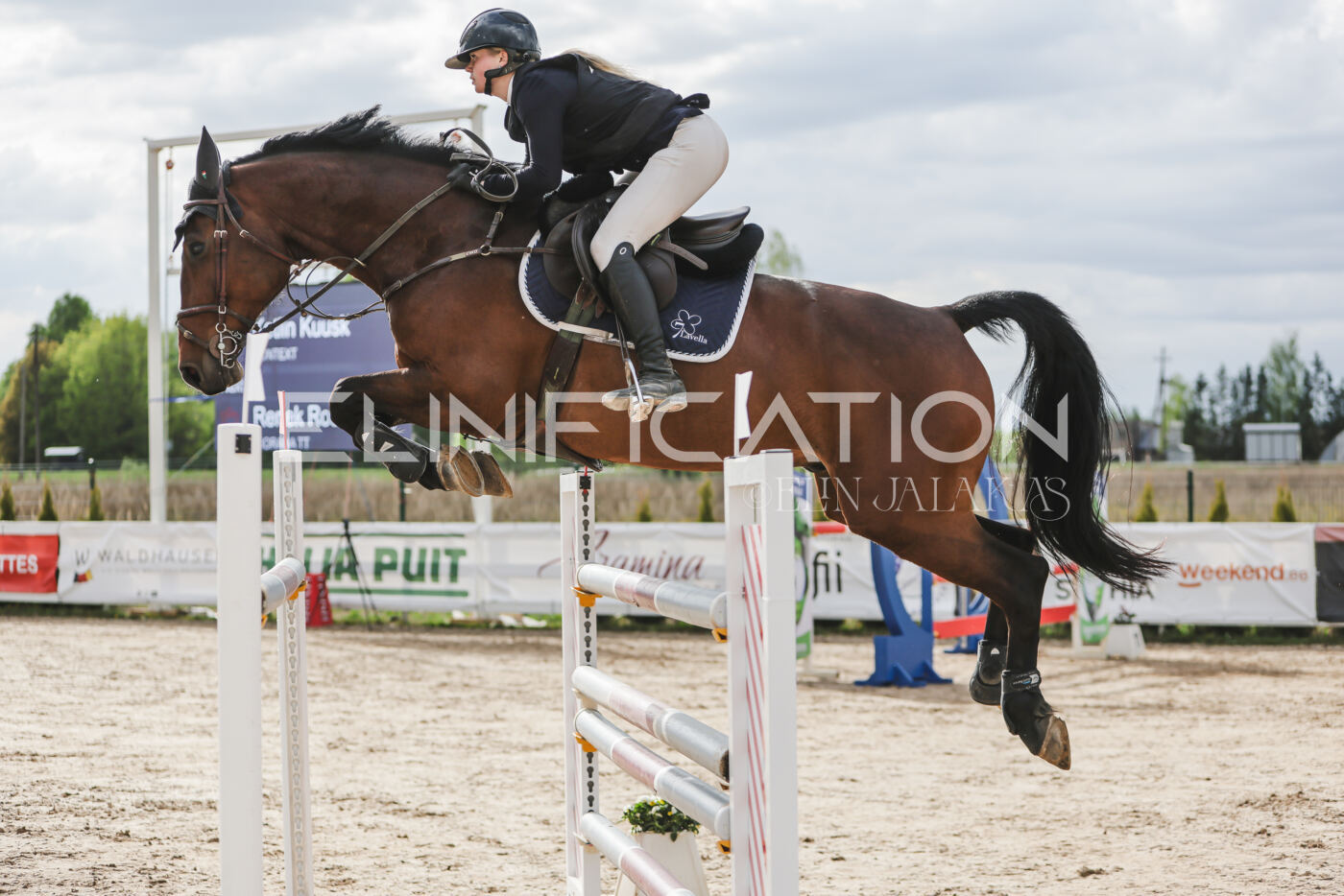 Gramina_Kevad_2026_hc130-135_176