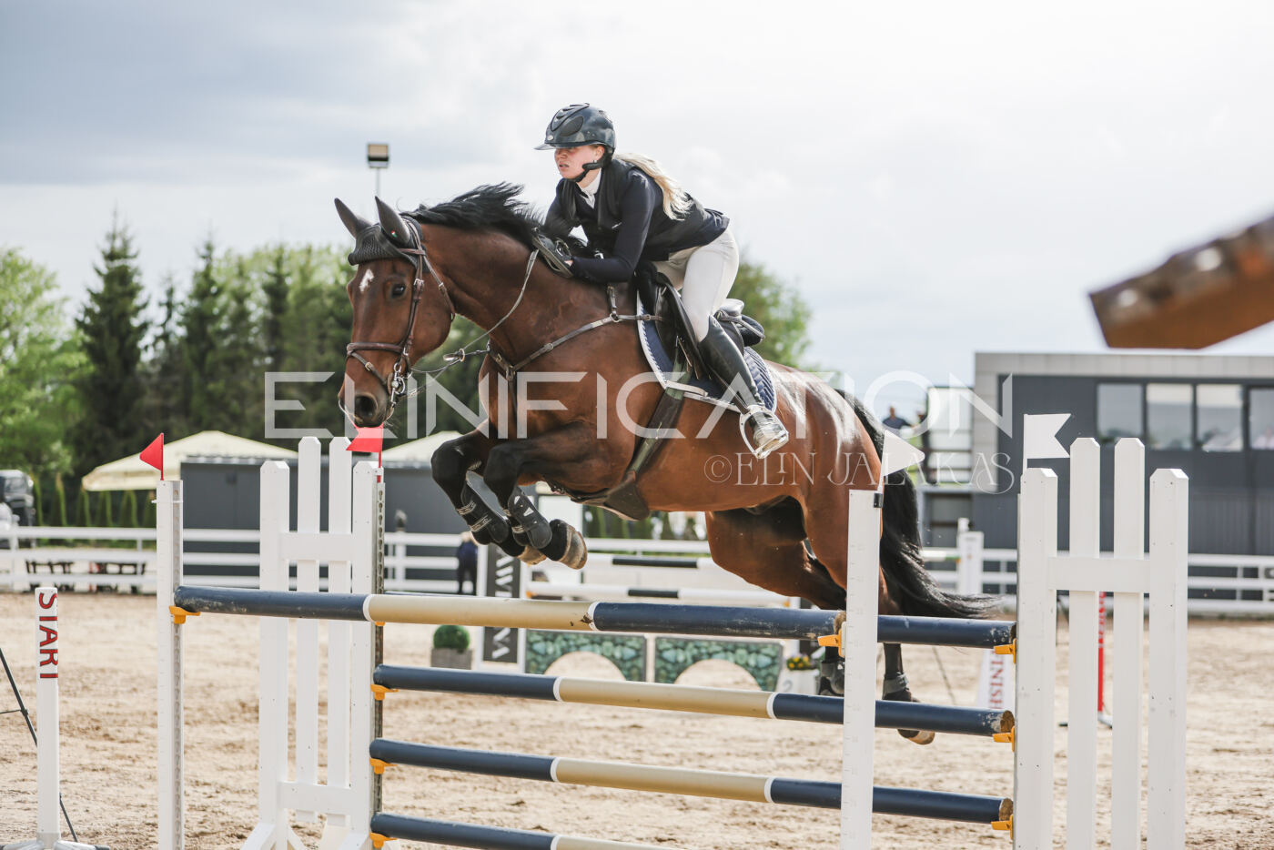 Gramina_Kevad_2026_hc130-135_178