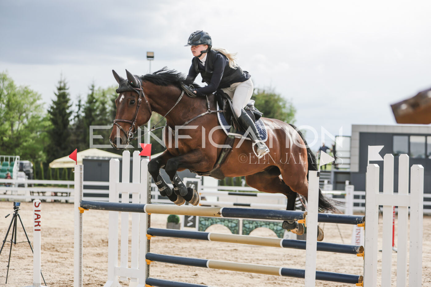 Gramina_Kevad_2026_hc130-135_179
