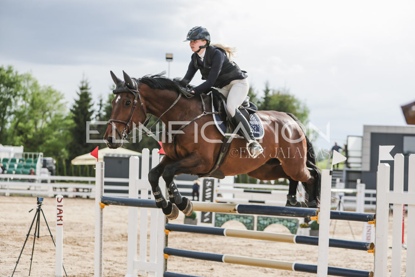 Gramina_Kevad_2026_hc130-135_180