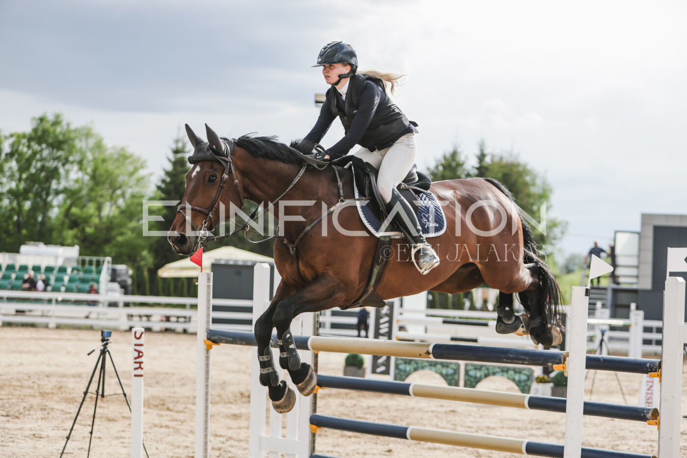 Gramina_Kevad_2026_hc130-135_181