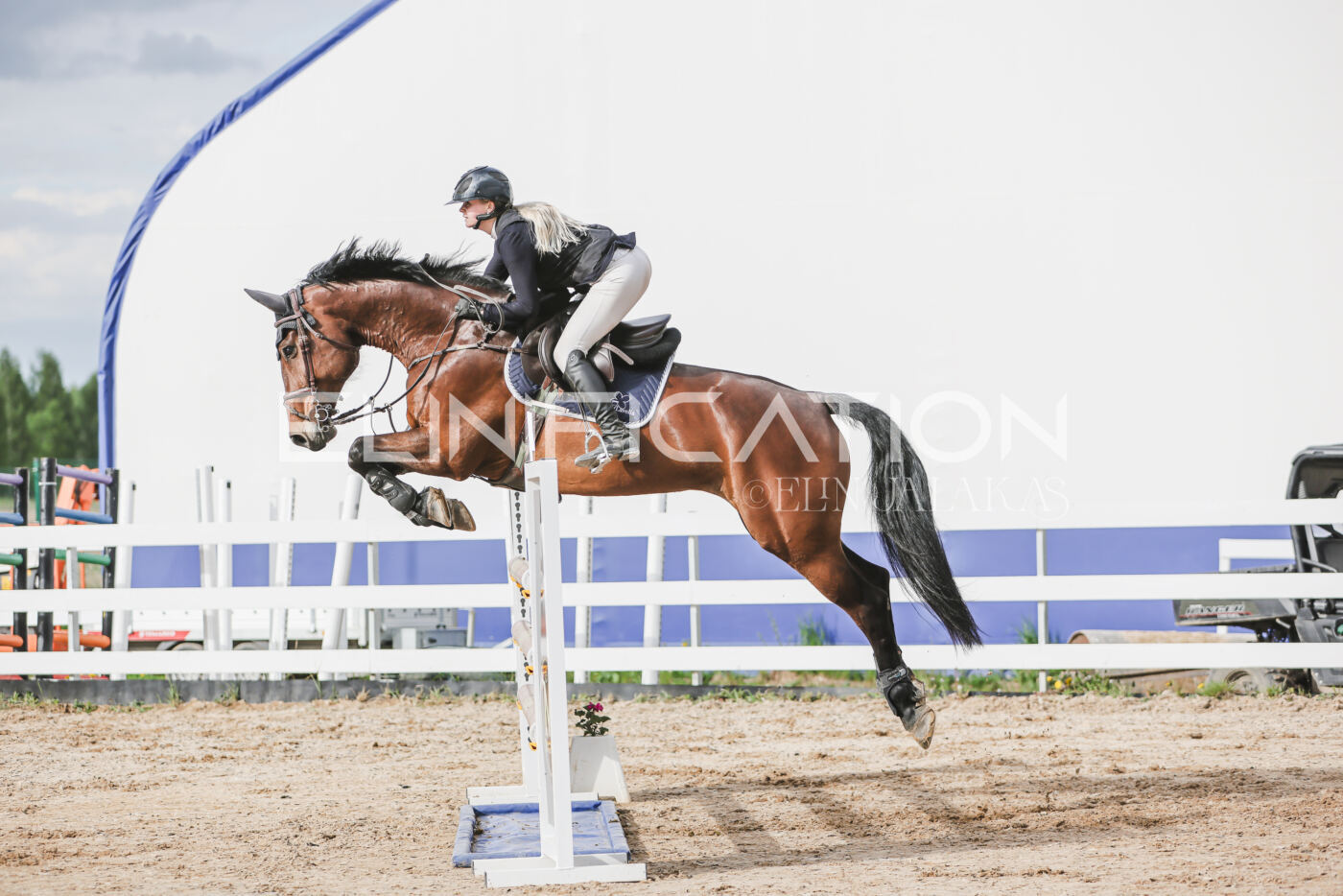 Gramina_Kevad_2026_hc130-135_182