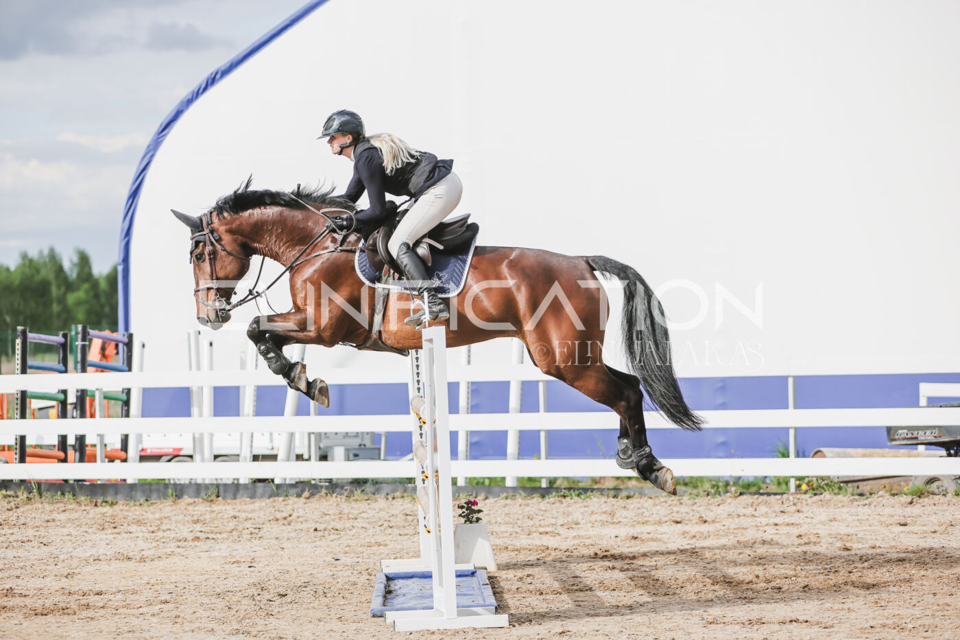 Gramina_Kevad_2026_hc130-135_183