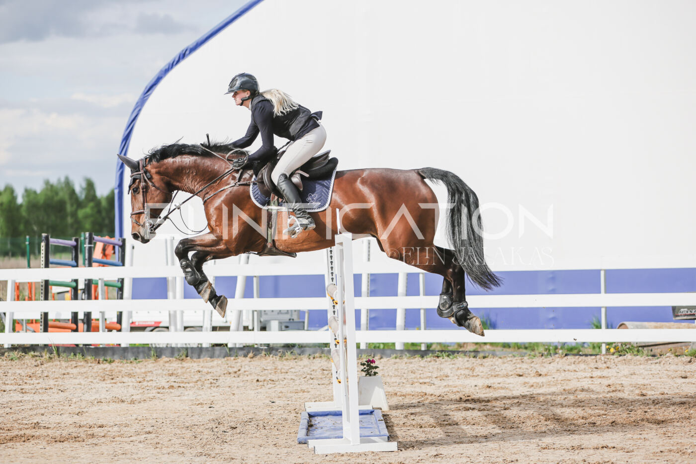 Gramina_Kevad_2026_hc130-135_184