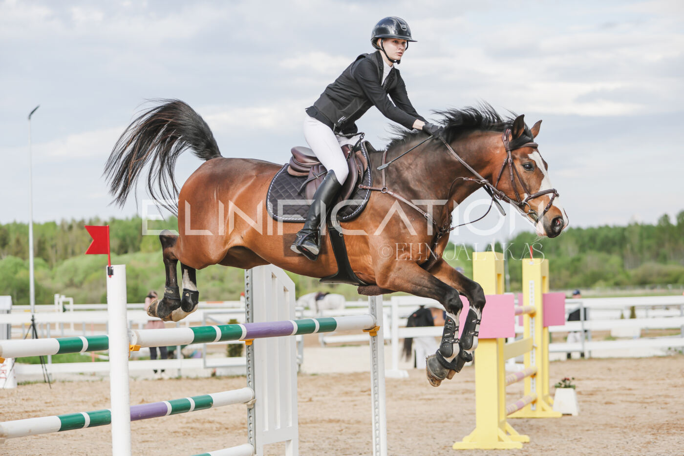 Gramina_Kevad_2026_hc130-135_190