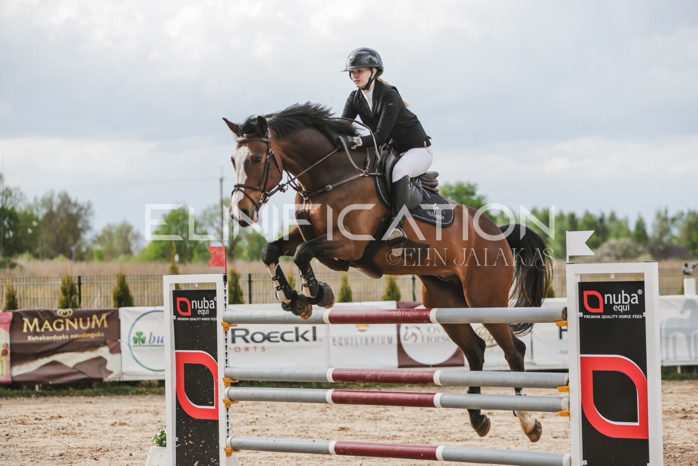 Gramina_Kevad_2026_hc130-135_197