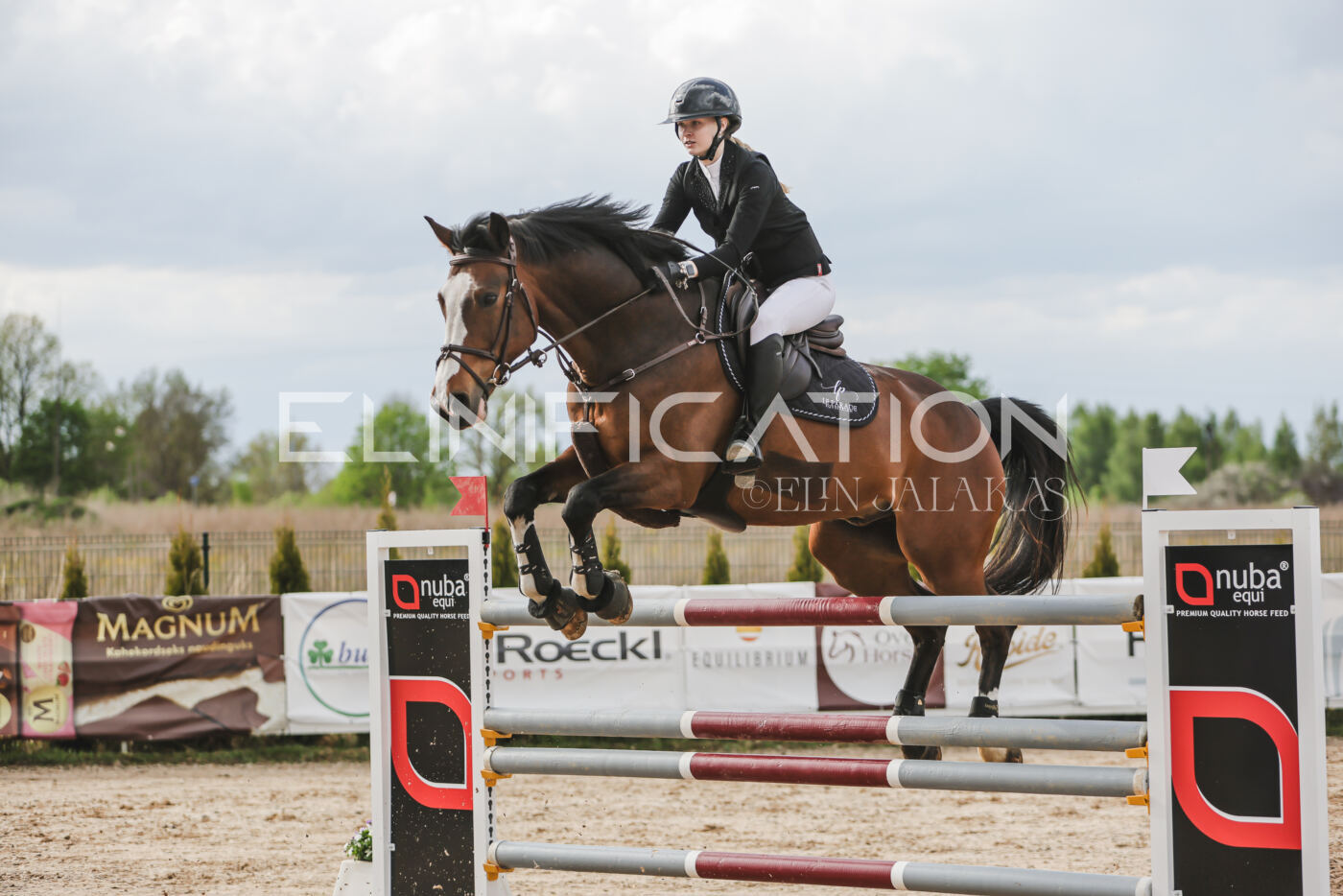 Gramina_Kevad_2026_hc130-135_198