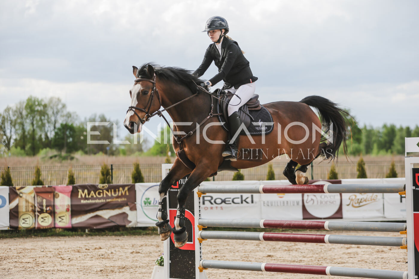 Gramina_Kevad_2026_hc130-135_201