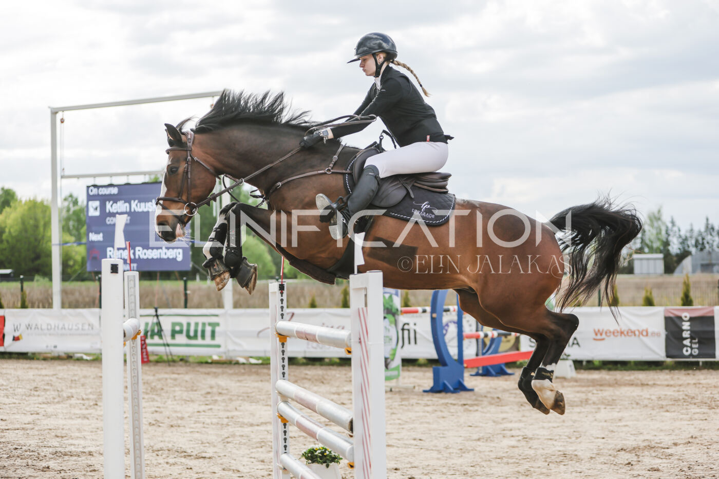 Gramina_Kevad_2026_hc130-135_203