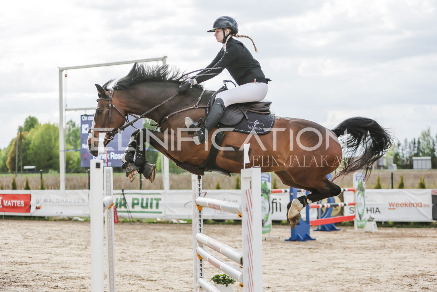 Gramina_Kevad_2026_hc130-135_204
