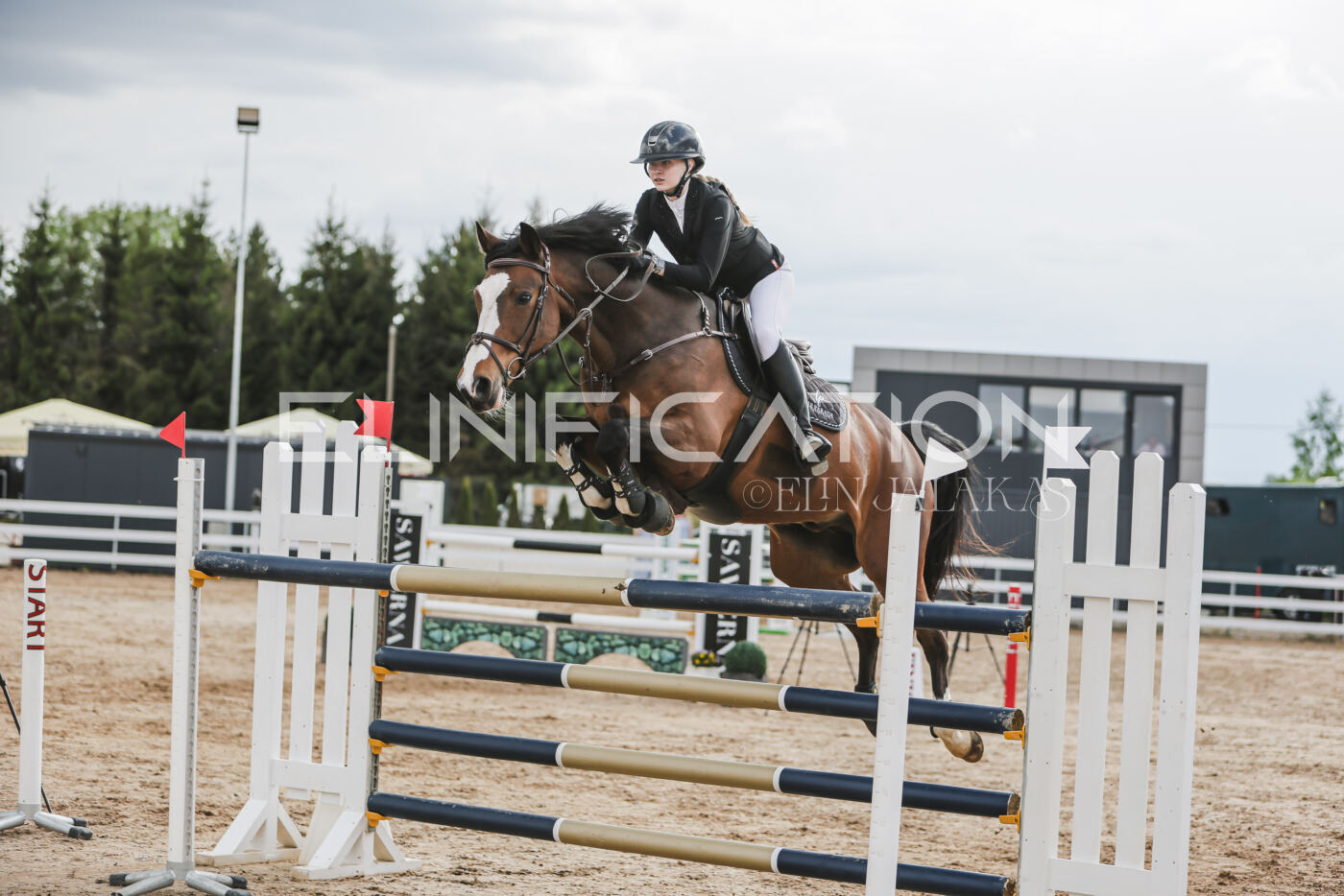 Gramina_Kevad_2026_hc130-135_205