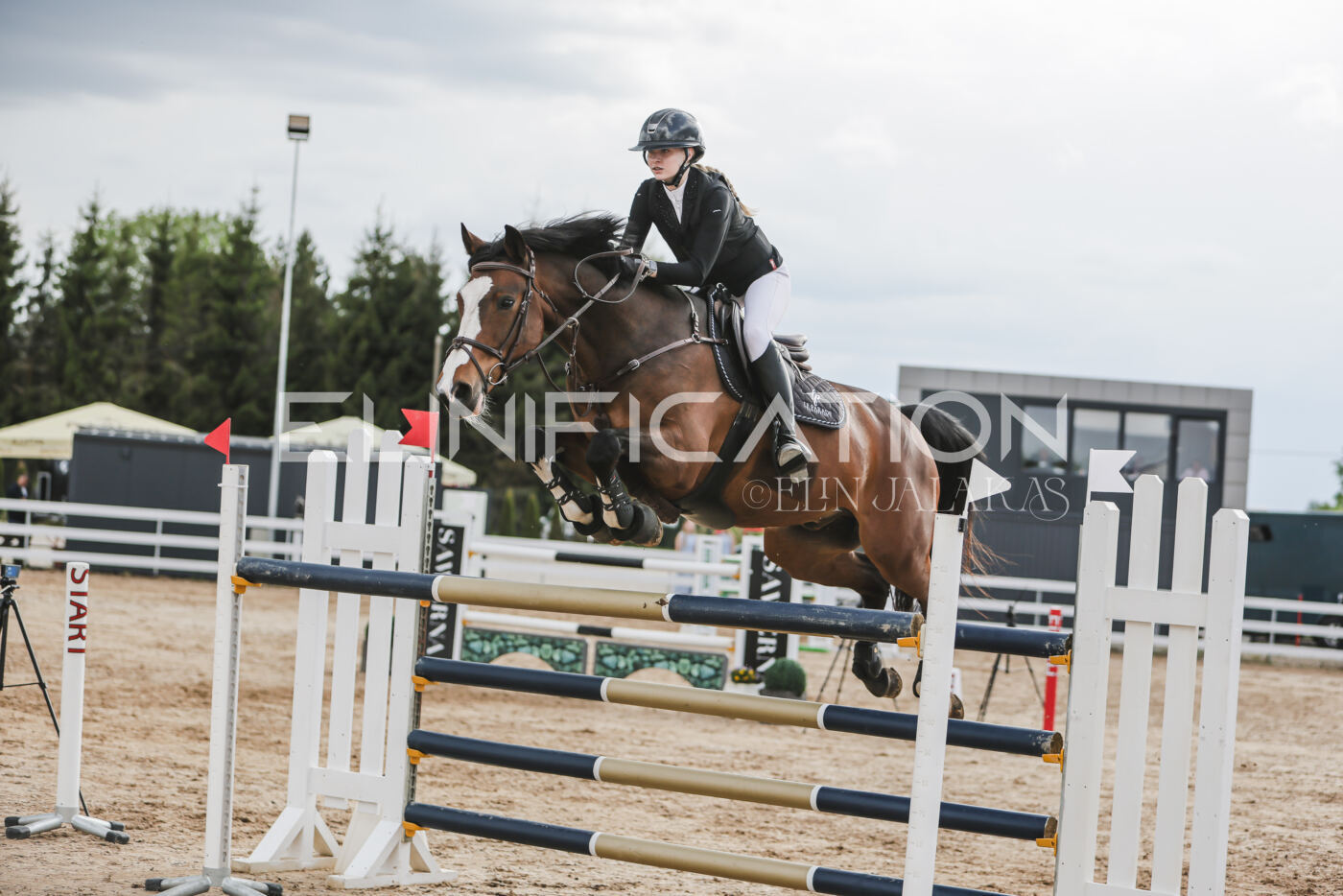 Gramina_Kevad_2026_hc130-135_206