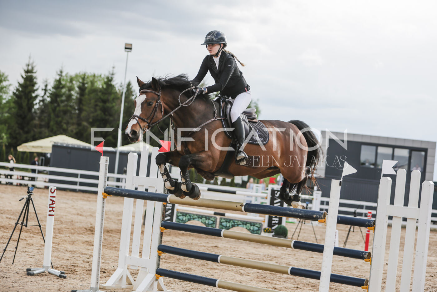 Gramina_Kevad_2026_hc130-135_208