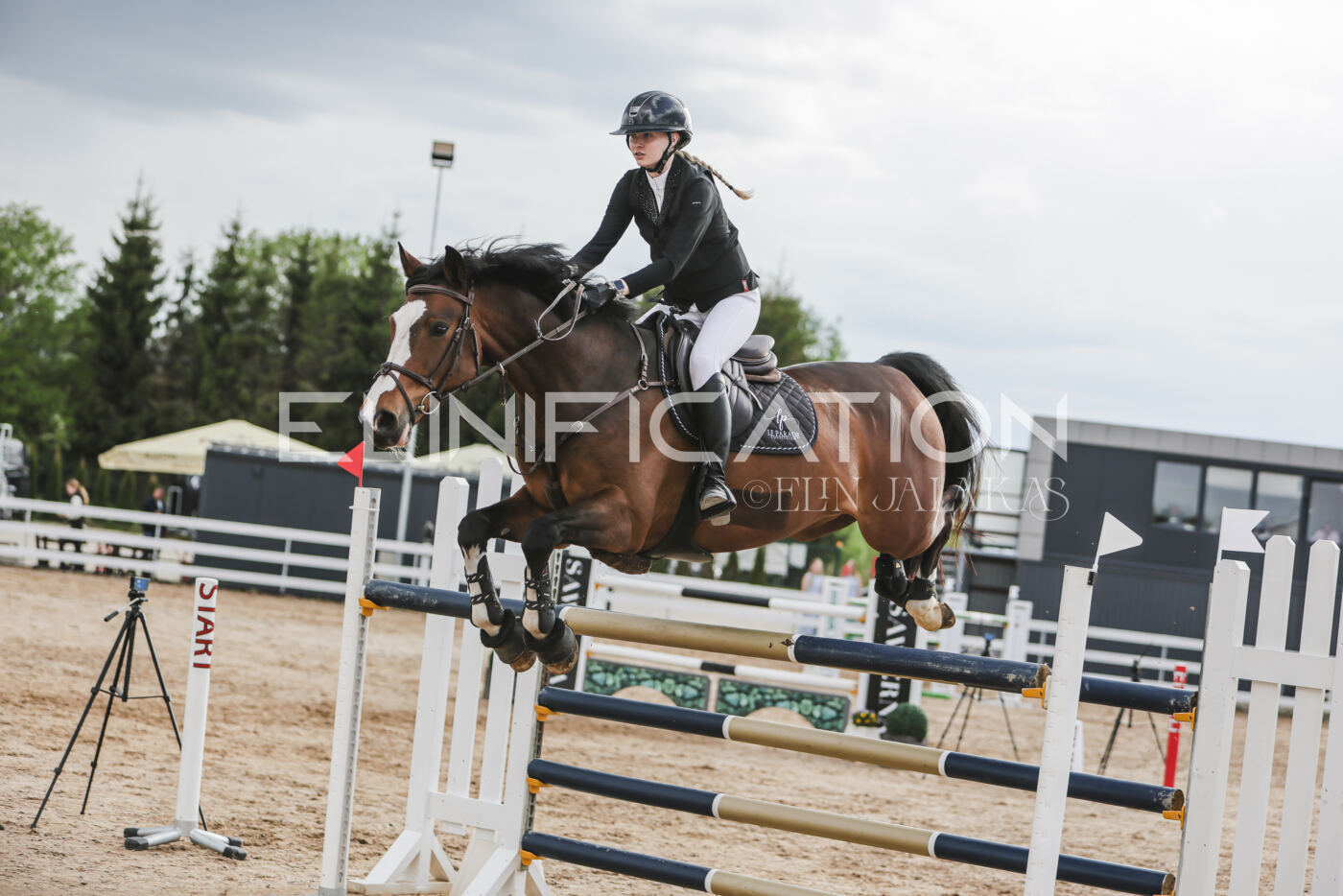 Gramina_Kevad_2026_hc130-135_209