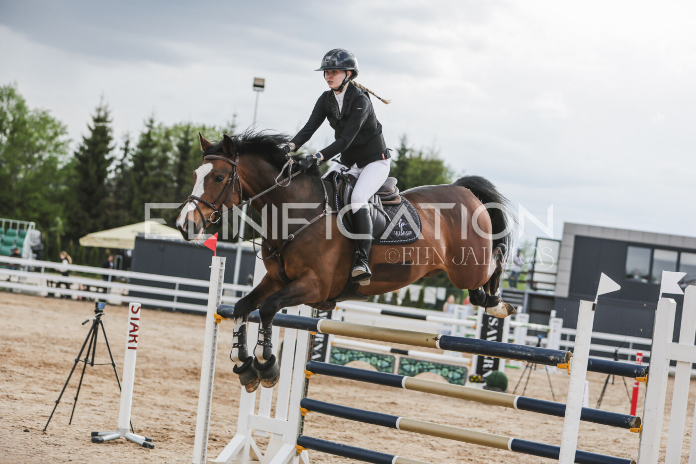 Gramina_Kevad_2026_hc130-135_210