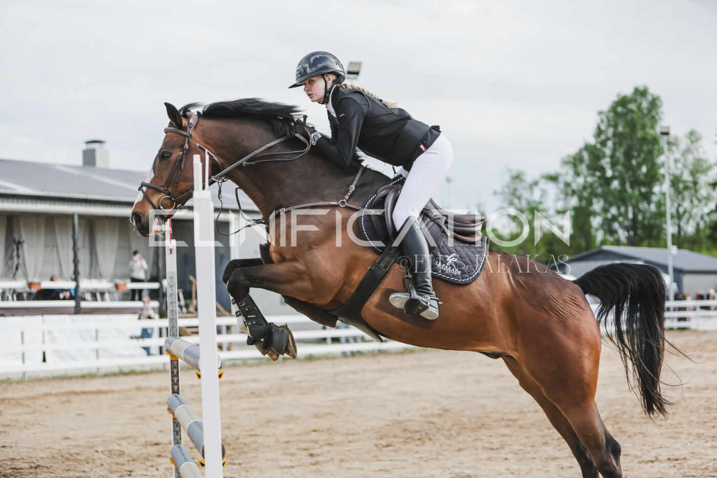 Gramina_Kevad_2026_hc130-135_211