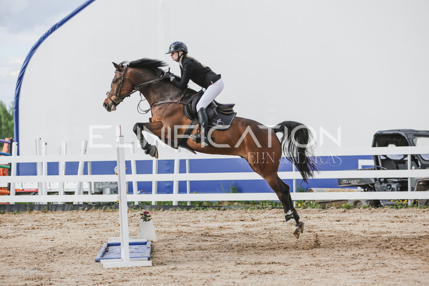 Gramina_Kevad_2026_hc130-135_212