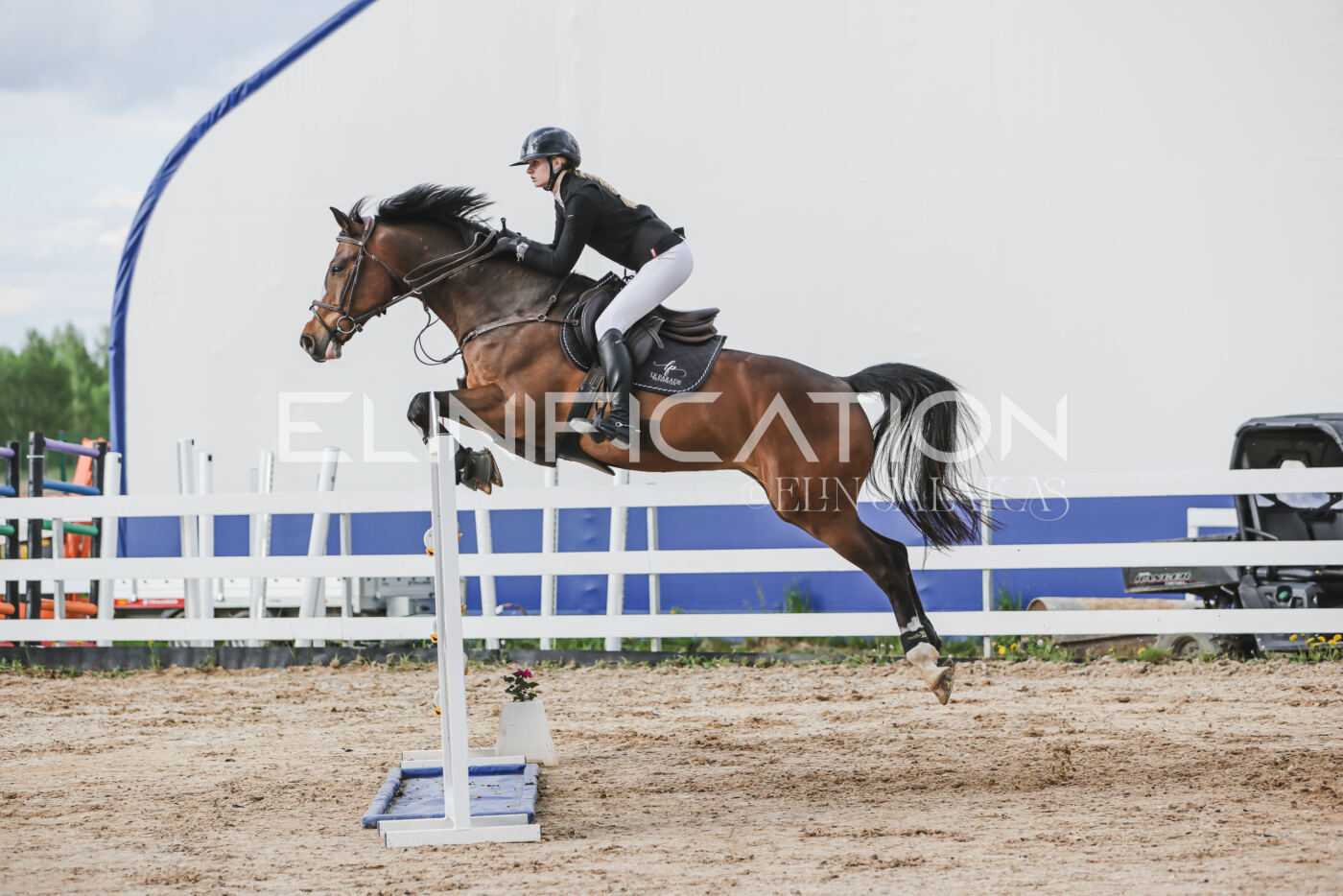 Gramina_Kevad_2026_hc130-135_213