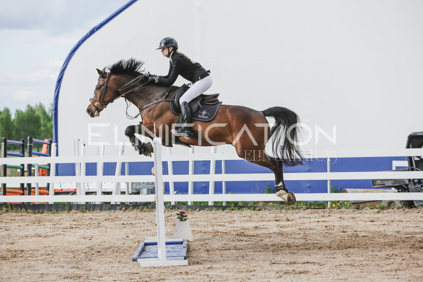 Gramina_Kevad_2026_hc130-135_214