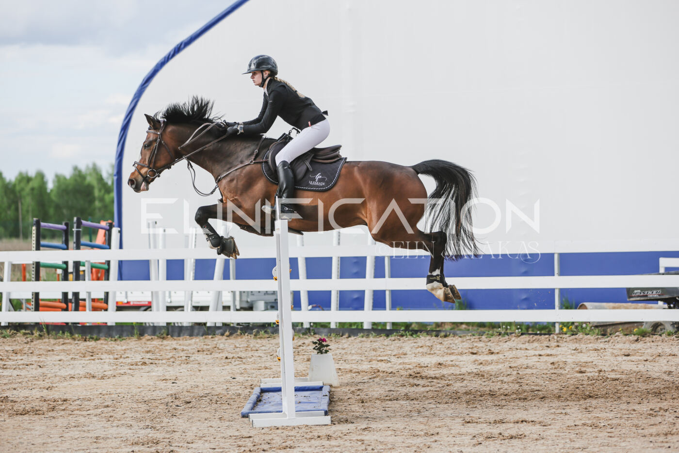 Gramina_Kevad_2026_hc130-135_215
