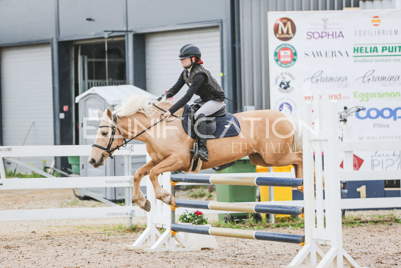 Gramina_Kevad_2026_95_029