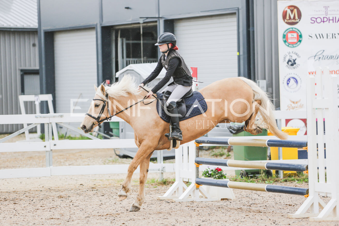 Gramina_Kevad_2026_95_031