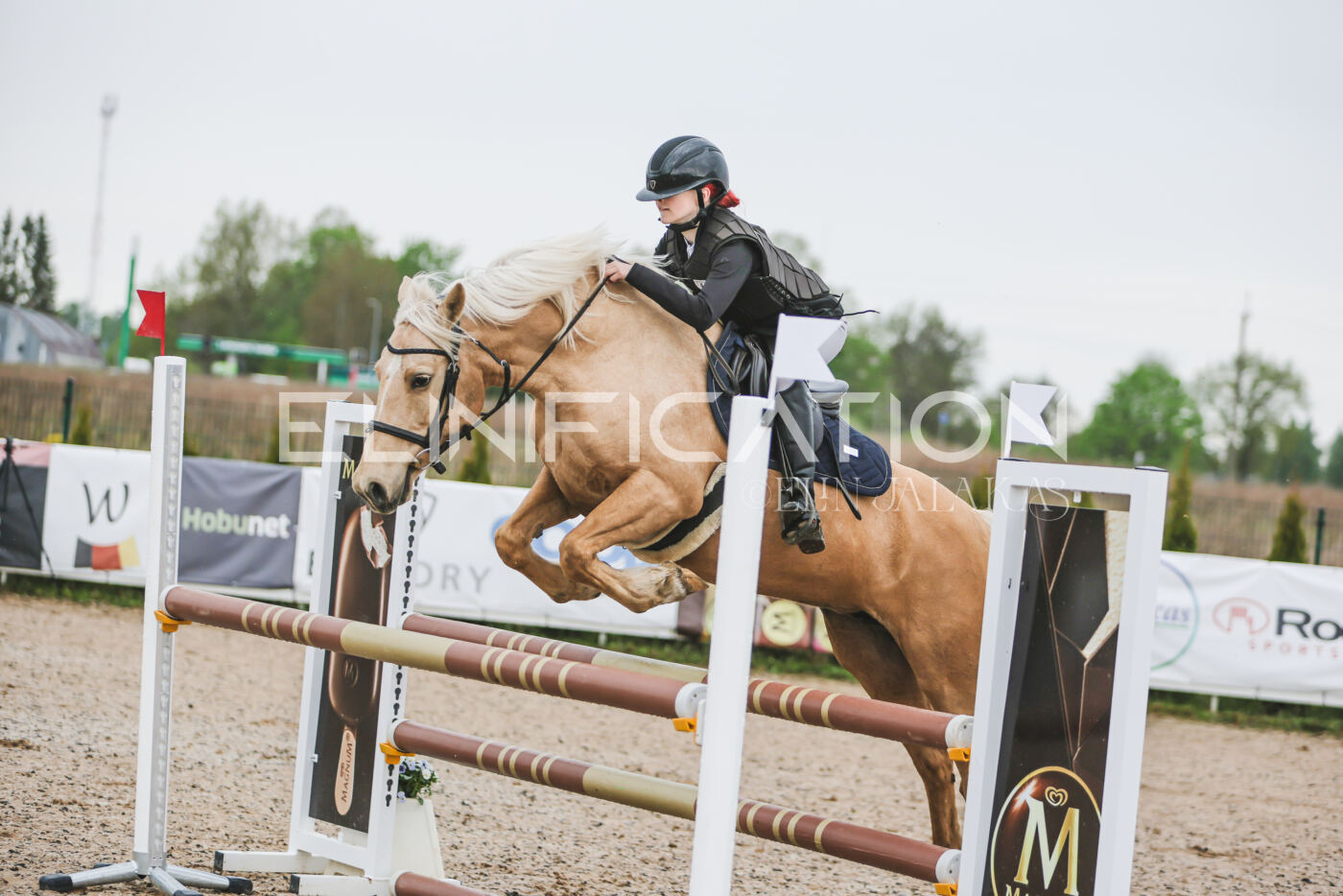 Gramina_Kevad_2026_95_036