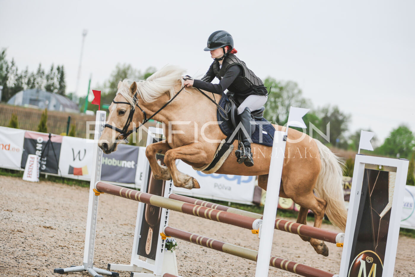 Gramina_Kevad_2026_95_038