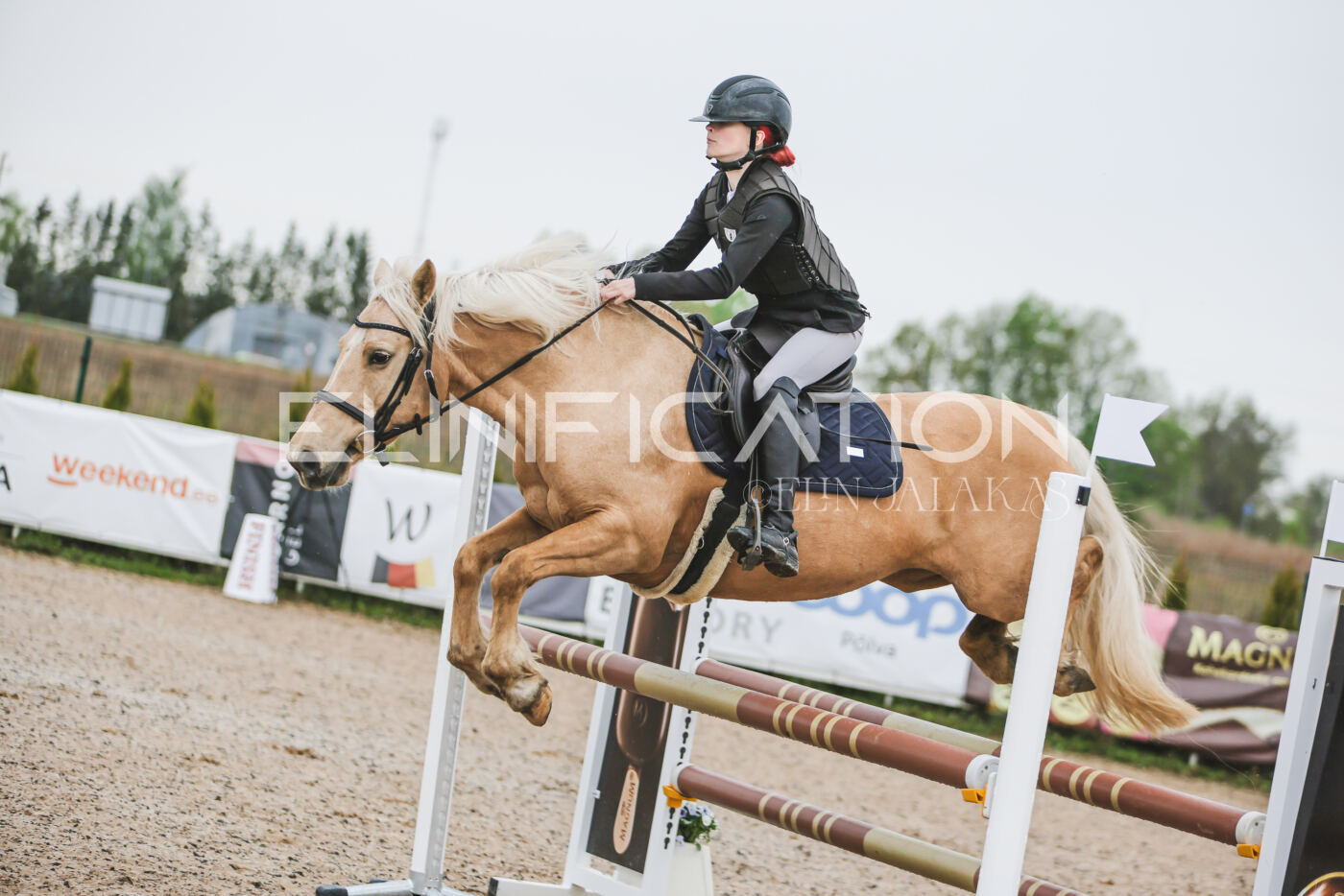 Gramina_Kevad_2026_95_040